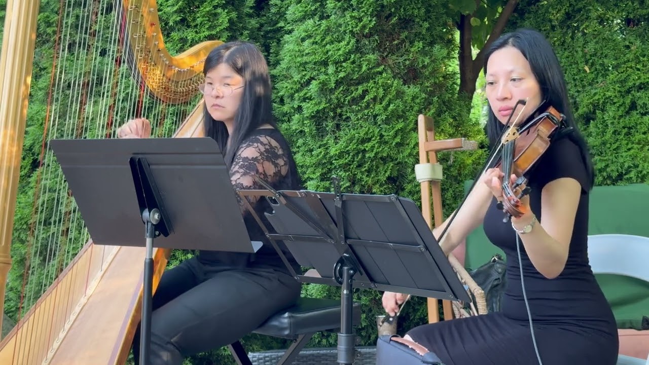 Promotional video thumbnail 4 for Emily Music Ensemble
