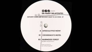 Da hairy belafontes - (B2) Hairwood Forest (Robin Hood Edit)