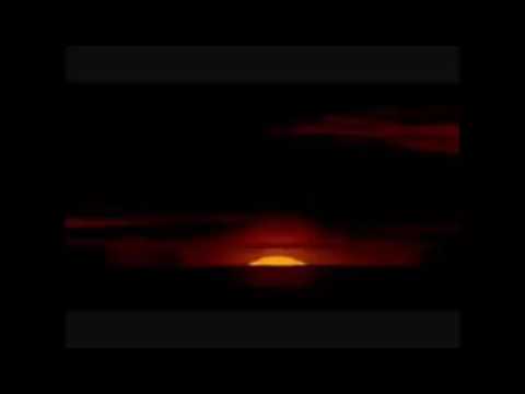 Il re leone dell'angolo rotture della lidl 😂😂✌💣