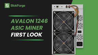 First Look at the Canaan Avalon 1246 90TH/s Bitcoin Miner!