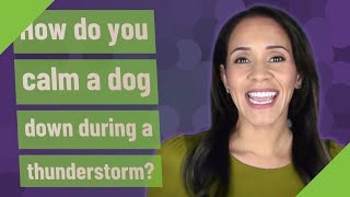 How do you calm a dog down during a thunderstorm?