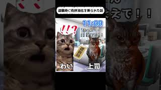 【猫ミーム】ブラック企業退職時に有休消化を拒否された話【実話】 #猫ミーム #猫マニ #catmemes #猫ミーム日常 #社畜 #shorts