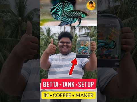 BETTA FISH 🐠 TANK SETUP IN COFFEE MAKER ☕ DIY | #jeelanivlogger #aquarium #tanksetup