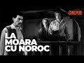 LA MOARA CU NOROC 1957 Film Lungmetraj Online Pe CINEPUB