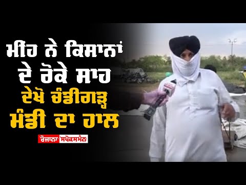 ਮੀਂਹ ਨੇ ਕਿਸਾਨਾਂ ਦੇ ਰੋਕੇ ਸਾਹ, ਦੇਖੋ ਚੰਡੀਗੜ੍ਹ ਮੰਡੀ ਦਾ ਹਾਲ | Rozana Spokesman