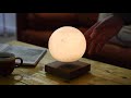 Gingko Lumière d’ambiance à LED Smart Moon Brun