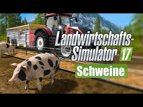 FARMING SIMULATOR 17: Schweine, Schweinezucht und Futter! I FEATURE LS 17