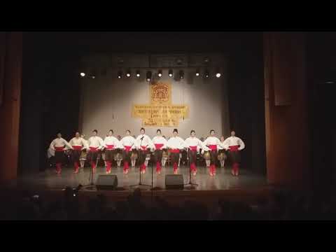 КУД Светозар Марковић Нови Сад - шопске игре