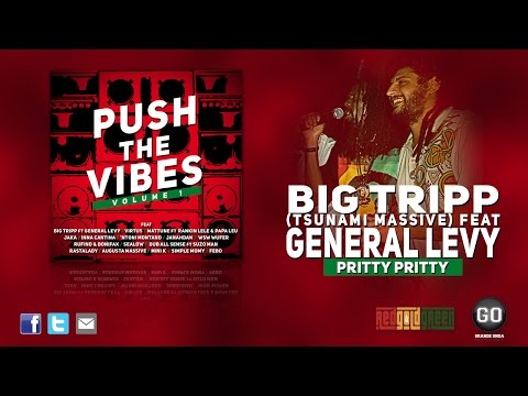 PUSH THE VIBES [PROMO MIX] feat GENERAL LEVY & BIG TRIPP, VIRTUS, 'NTONI MONTANO, JANAHDAN & MORE