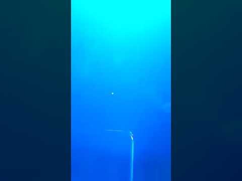 Telih lama bedarah baru by james ruai