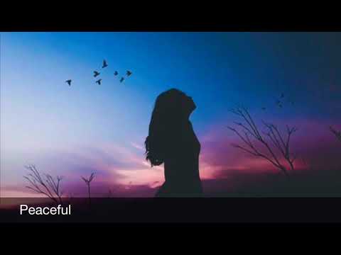 Flying Lotus X Tyler,The Creator X Adult Swim Type Beat-Peaceful