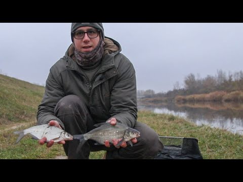 Feeder Pecanje na 2°C stepena - Zimski Feeder Part 3