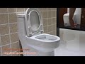 luxury rimless toilet wc for bathroom