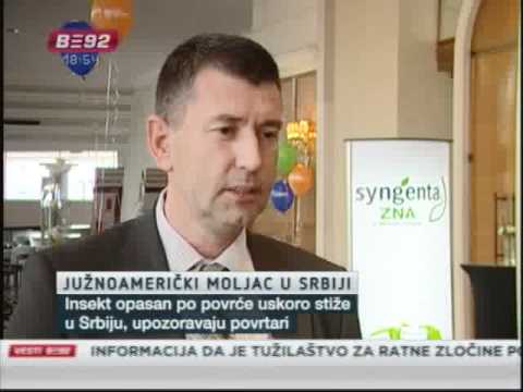 Moljac preti povrću