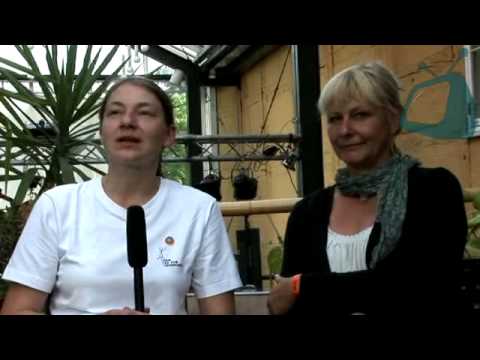 NB-TOWN.DE WebTV - Lokalhelden aus MV - 1. Integratives Kulturfestival in Neubrandenburg