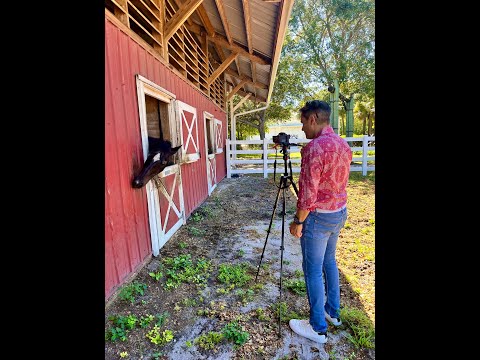 Horse Heroes Help Individuals with Special Needs