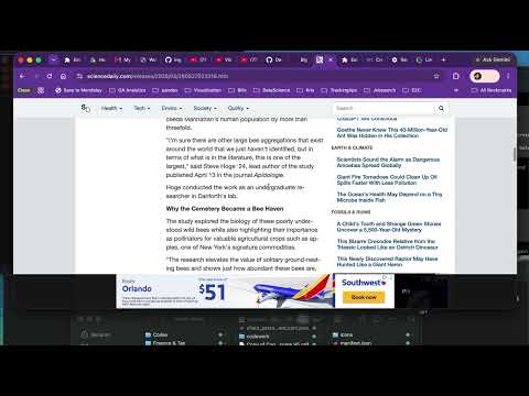 Item video thumbnail