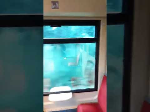 S Bahn Karlsruhe mitfahrt mit Eilzug S81 von Gaggenau Ausfahrt über Rastatt Bahnhof Einfahrt Ausfahr