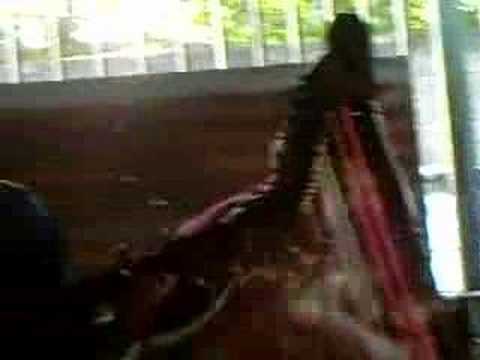 Luis Ali Prieto  Al pie del arpa