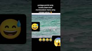 Download lagu penjaga pantai nya kurang paham dia melambaikan tangan terus dia abaikan saja #penjaga  #videoshrt mp3