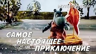 Самое настоящее приключение (1990)