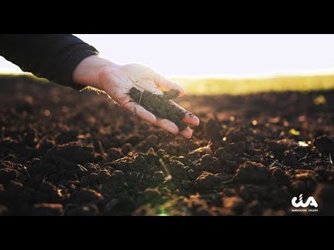 IX Conferenza Economica | Cia-Agricoltori Italiani