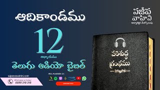 Genesis 12 ఆదికాండము Sajeeva Vahini Telugu Audio Bible