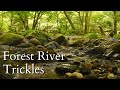Trickling Water Sounds For Sleep 10HRS Of Bliss