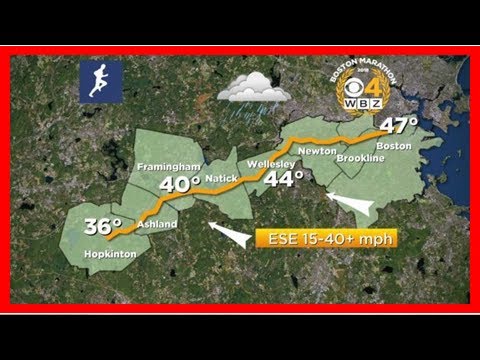 Breaking News | Boston Marathon Weather Forecast: Wind, Rain, Cold