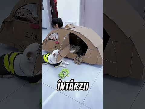 Soția mea nu mă lasă să urc în taxi cu ea 😱😳