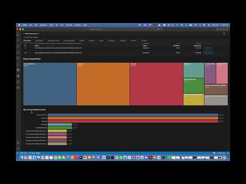 HeapLens 소개 영상