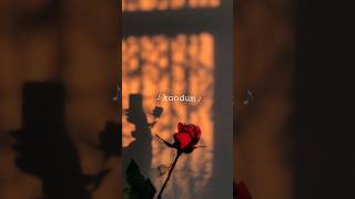 Download lagu koodum kadhal kaigal 💫| ilakana kavithai song tamil whatsapp status #tamilsongs#whatsappstatus mp3