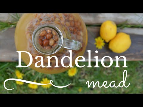 Arnold Palmer Dandelion Mead