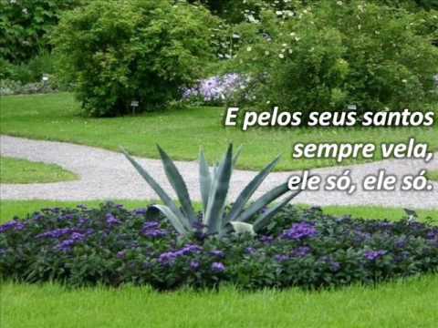 HARPA CRISTÃ - 8 - CRISTO, O FIEL AMIGO.wmv