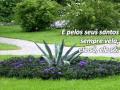 HARPA CRISTÃ 8 CRISTO O FIEL AMIGO Wmv