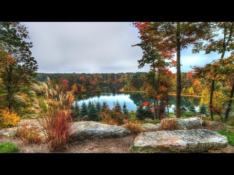 Удивительная красота природы. Часть 2.