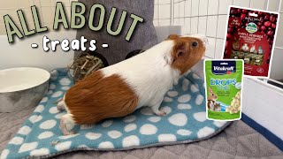 All About Guinea Pig Treats | how often & good vs bad