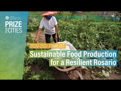 Rosario’s urban farming programme wins global resilience award