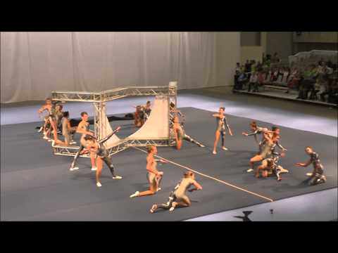 SG Bettringen | Weltgymnaestrada 2015 Helsinki