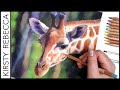 How to Draw This VIBRANT Giraffe using COLOURED PENCIL! // Useful Tips for Blending & Layering!