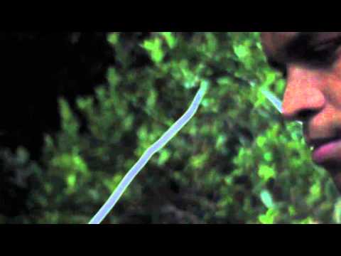 Menor x Pablo - 12ª Roda Absurda 19/04/15