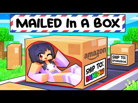 Minecraft but we got MAILED in a BOX!