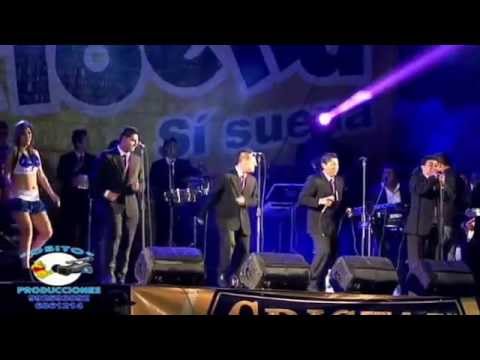 Corazon de Papel  - La Verdad del Norte