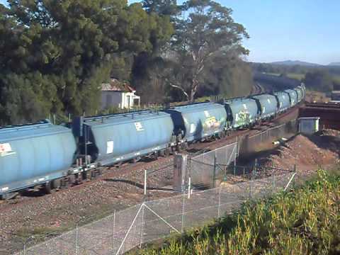 El Zorro #5456 Pitnacree Rd 4/6/11