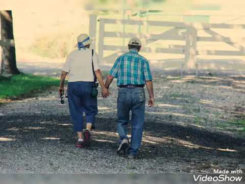 5 star dry fruit honey