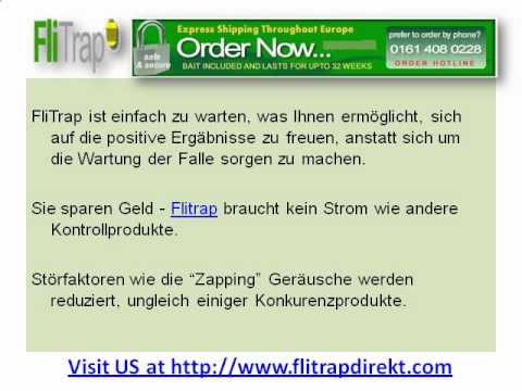Drei Gründe, warum kaufen die FliTrap Fly Trap