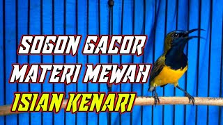 Download lagu SOGON GACOR ISIAN KENARI |Mewah buat masteran mp3 Download lagu SOGON GACOR ISIAN KENARI |Mewah buat masteran mp3