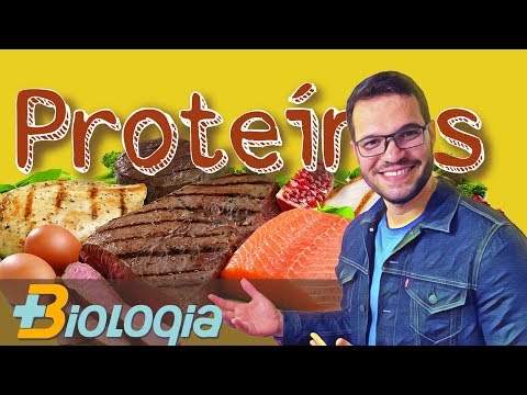 Proteínas, Enzimas e Aminoácios - Mais Biologia com Roger Maia