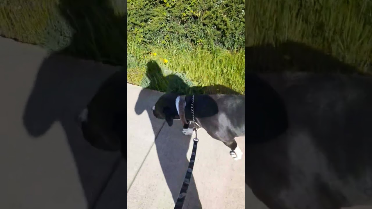 fix cars! heres a side hustle YOU CAN DO