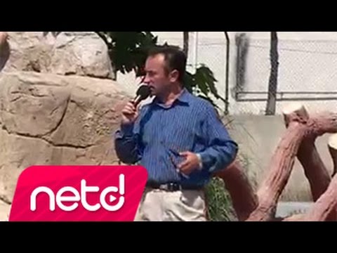 Akkuşlu Metin - Ah İstanbul